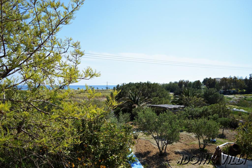 Adonis Villa Koutsounari Exterior foto